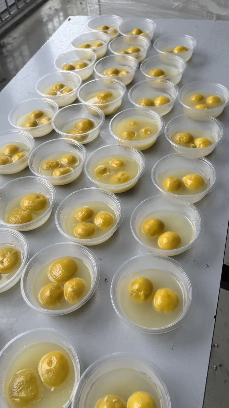 The Lantern Festival brings the warmth of family reunion to SHUAIRUI people The Lantern Festival brings the warmth of family reunion to SHUAIRUI people